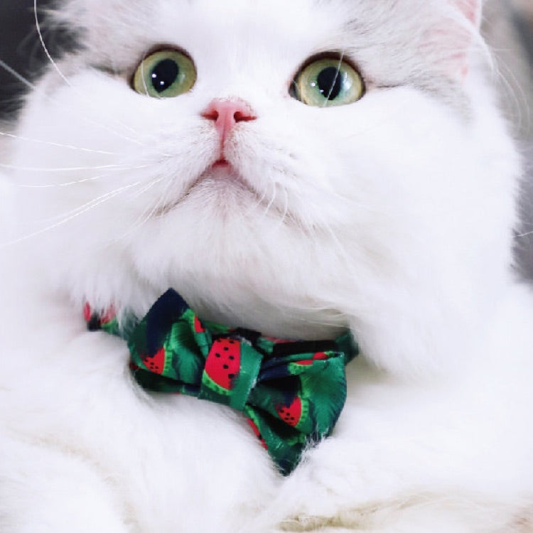 HiDREAM Cat Collars