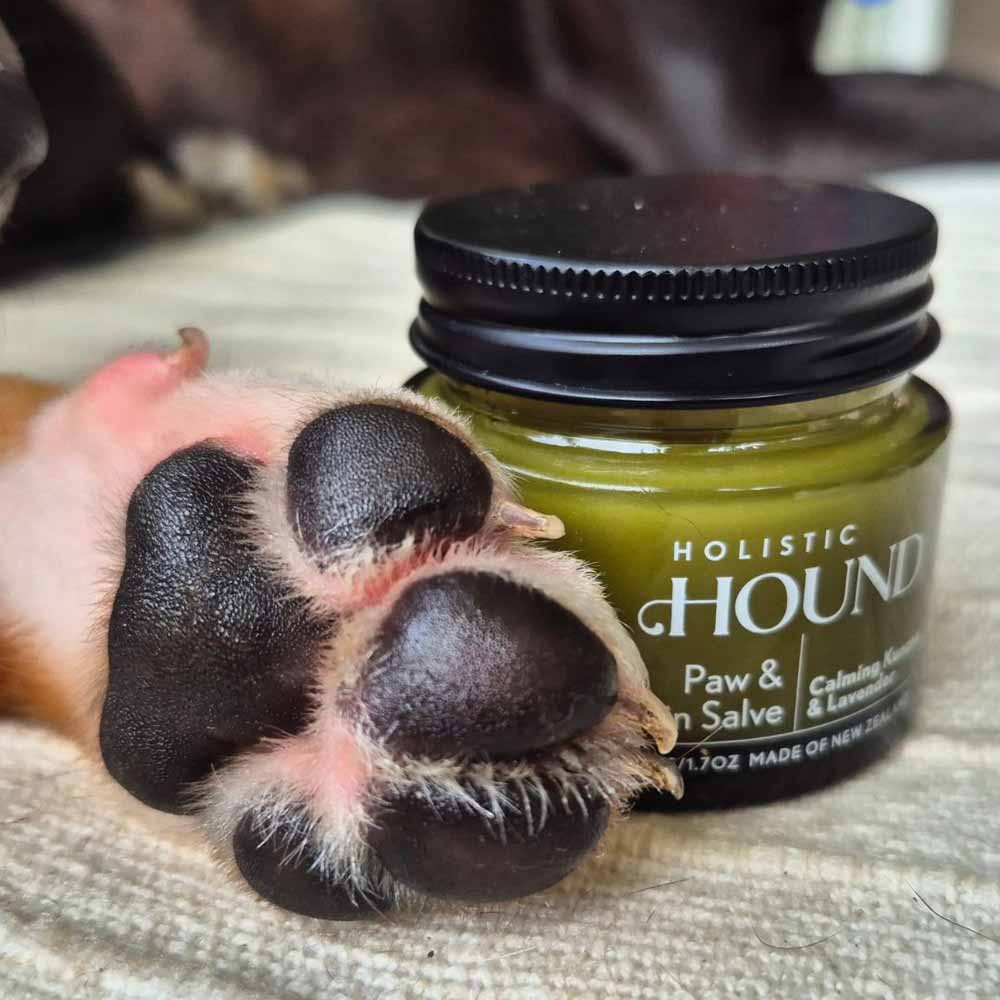 Holistic Hound Paw & Skin Salve