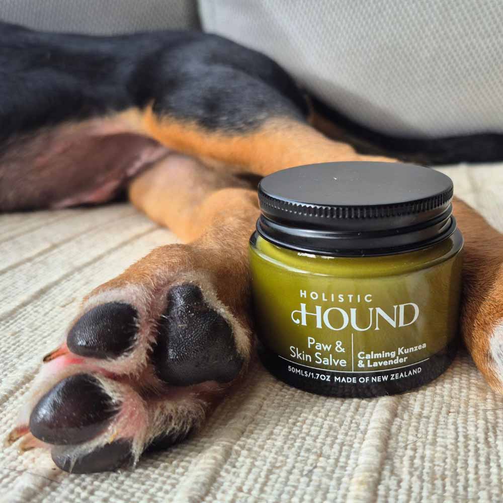 Holistic Hound Paw & Skin Salve
