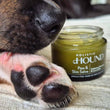 Holistic Hound Paw & Skin Salve