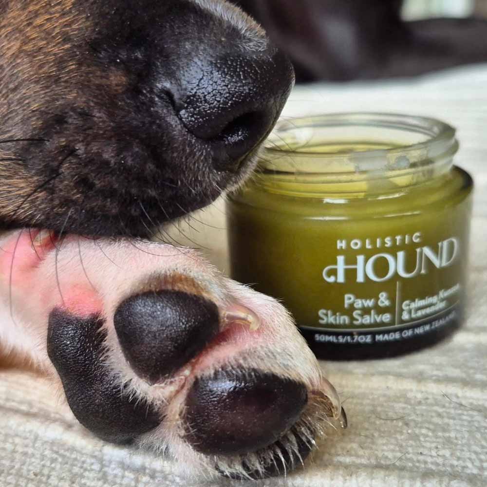 Holistic Hound Paw & Skin Salve