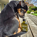 Holistic Hound Shine & Restore Coat Serum