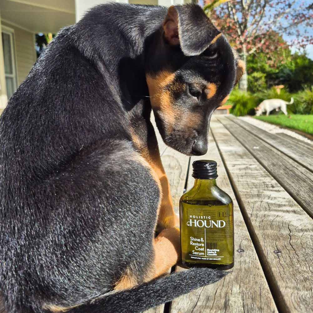Holistic Hound Shine & Restore Coat Serum
