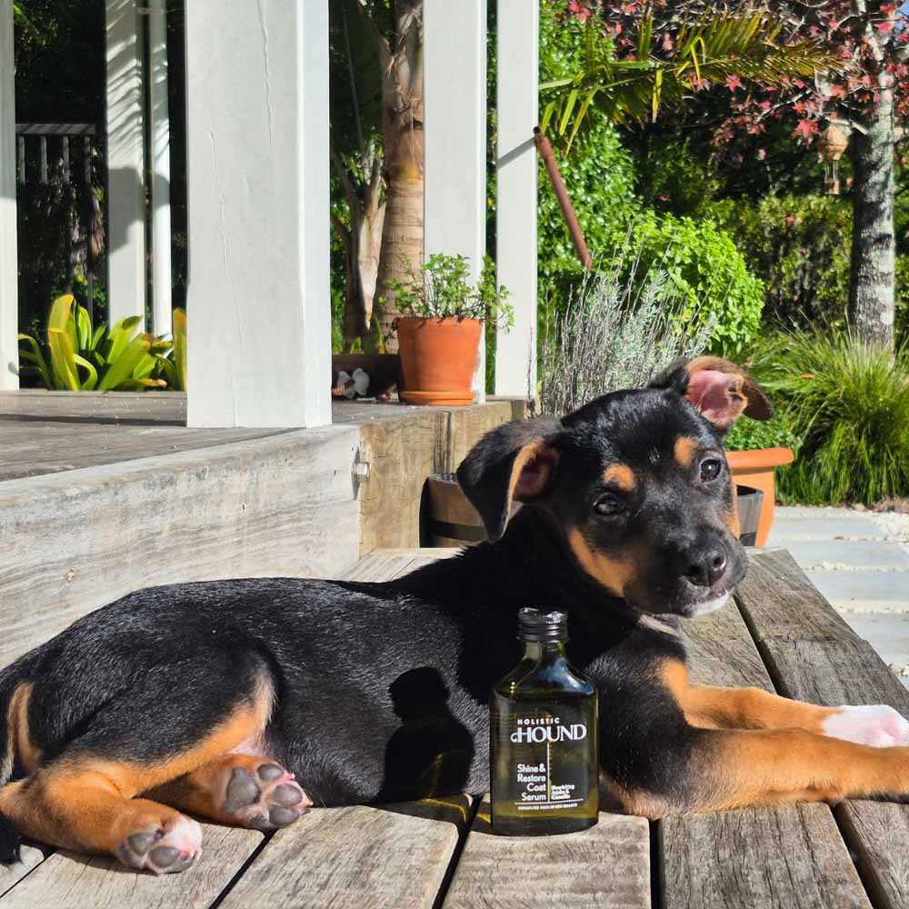 Holistic Hound Shine & Restore Coat Serum