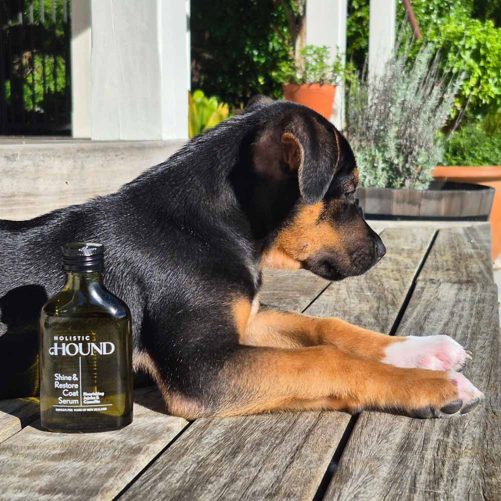 Holistic Hound Shine & Restore Coat Serum