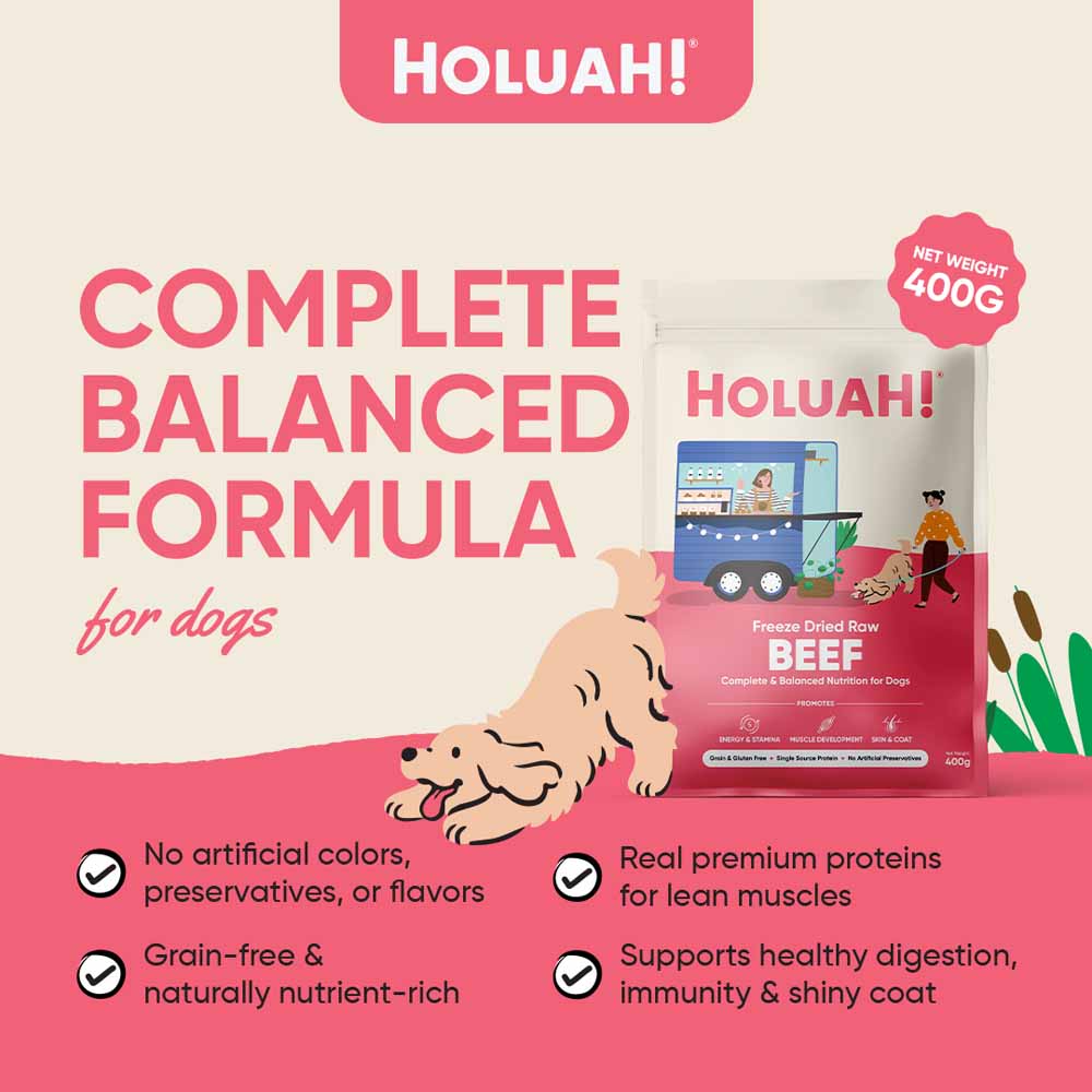 Holuah Beef Freeze-Dried Raw Dog Food 400g