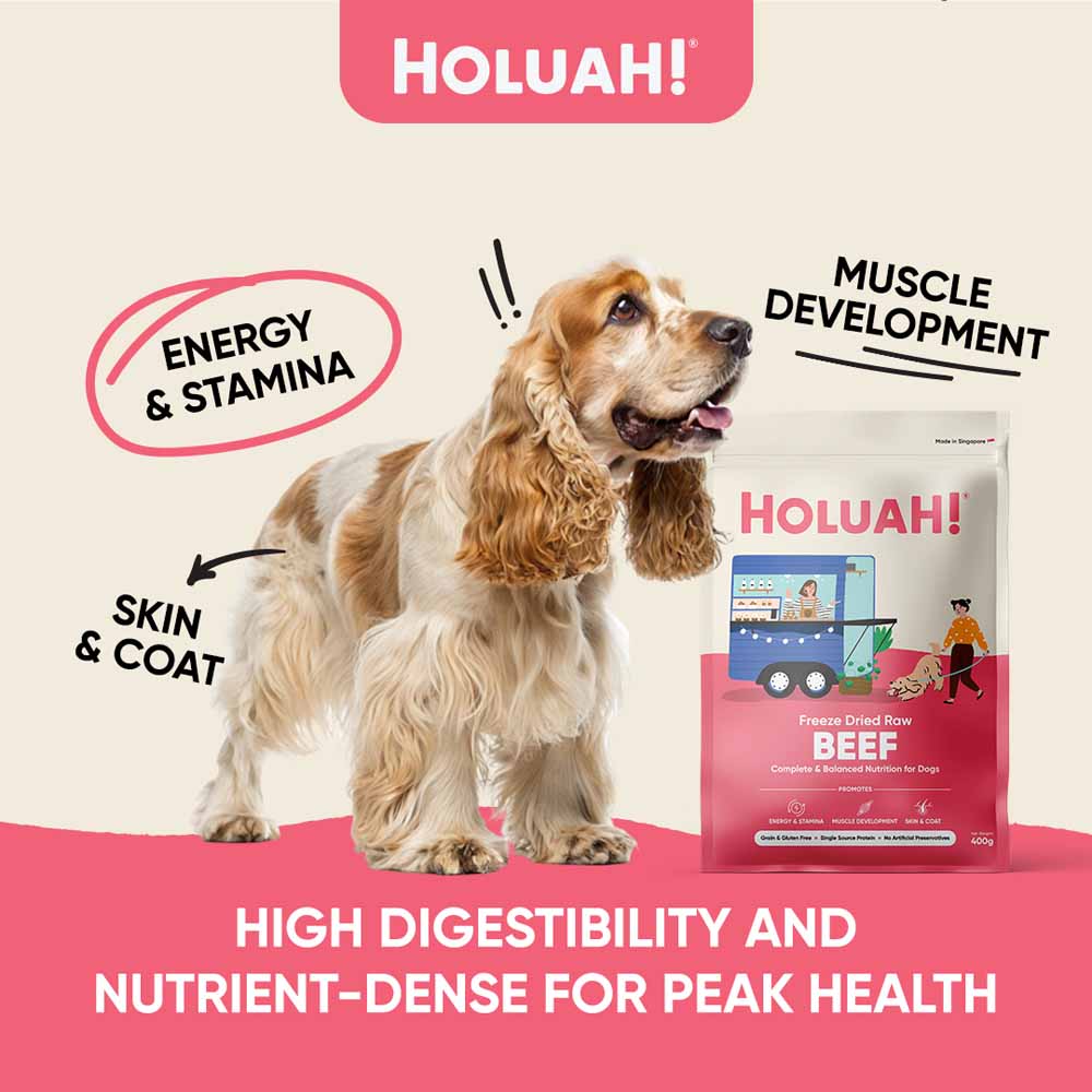 Holuah Beef Freeze-Dried Raw Dog Food 400g