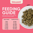 Holuah Beef Freeze-Dried Raw Dog Food 400g