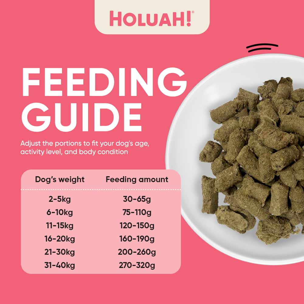 Holuah Beef Freeze-Dried Raw Dog Food 400g