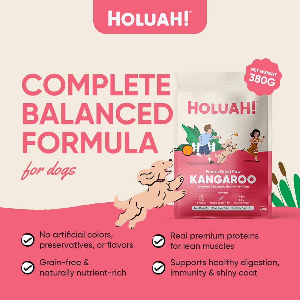 Holuah Kangaroo Freeze-Dried Raw Dog Food 380g