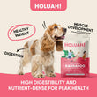 Holuah Kangaroo Freeze-Dried Raw Dog Food 380g