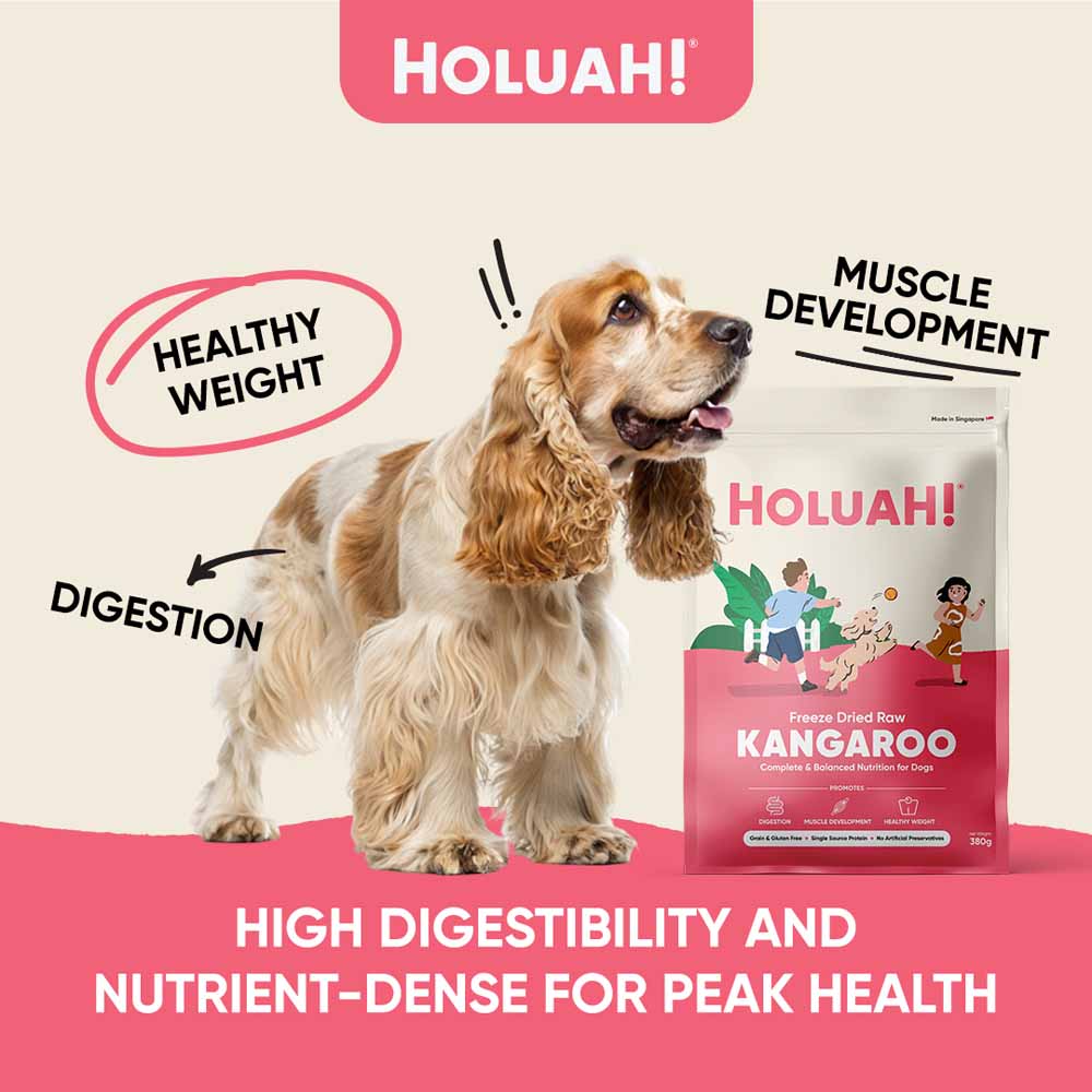 Holuah Kangaroo Freeze-Dried Raw Dog Food 380g