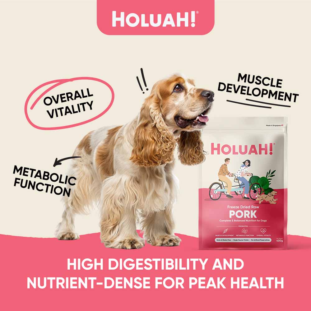 Holuah Pork Freeze-Dried Raw Dog Food 400g