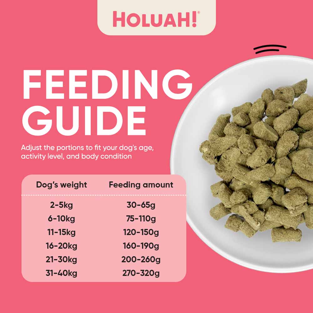 Holuah Pork Freeze-Dried Raw Dog Food 400g