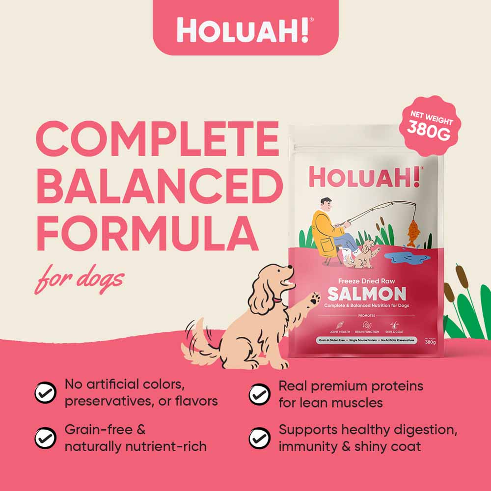 Holuah Salmon Freeze-Dried Raw Dog Food 380g