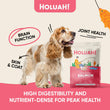 Holuah Salmon Freeze-Dried Raw Dog Food 380g