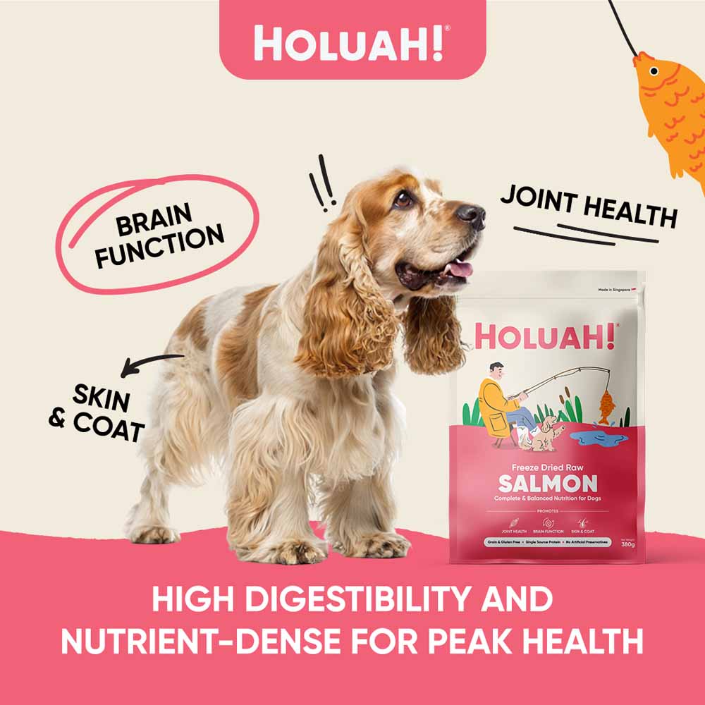 Holuah Salmon Freeze-Dried Raw Dog Food 380g