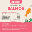 Holuah Salmon Freeze-Dried Raw Dog Food 380g