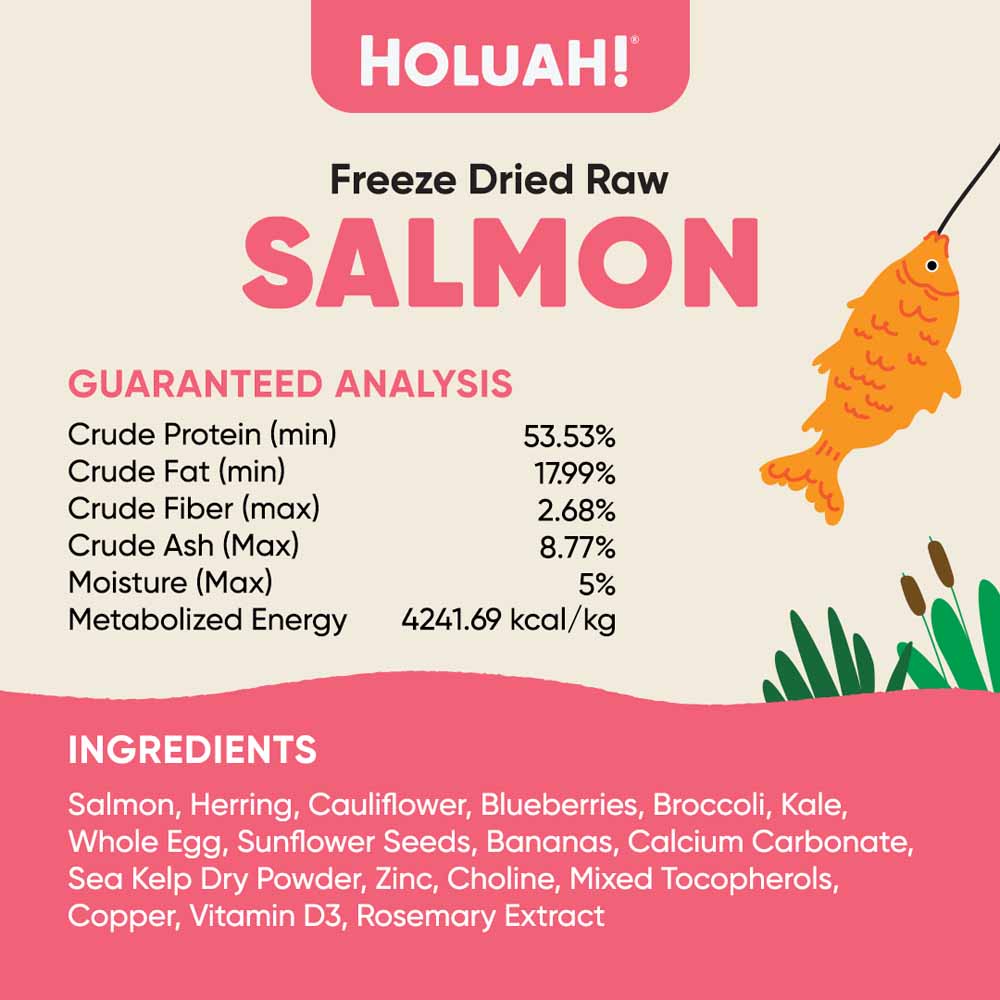 Holuah Salmon Freeze-Dried Raw Dog Food 380g