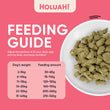 Holuah Salmon Freeze-Dried Raw Dog Food 380g