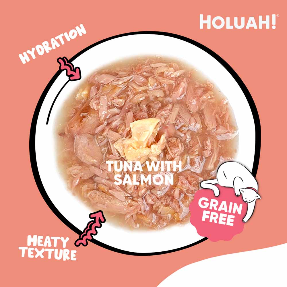 25% OFF: Holuah Tuna with Salmon In Gravy Canned Cat Food 80g