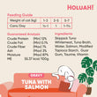25% OFF: Holuah Tuna with Salmon In Gravy Canned Cat Food 80g