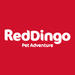 Brand - Red Dingo