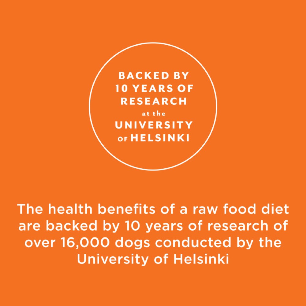 Instinct Raw Longevity Beef Grain-Free Adult Freeze-Dried Raw Dog Food 9.5oz