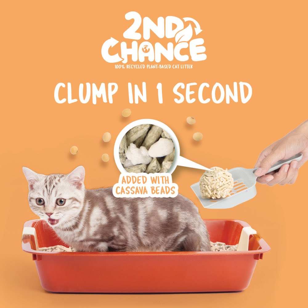 Fiber Clumping Kit Cat 2nd Chance Pea Fiber Clumping Cat Litter 2.5kg | Kohepets