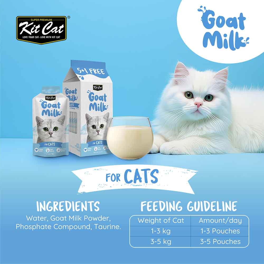 Okinawa Prefecture Lactose Free Milk For Kittens Kit Cat Goat Milk