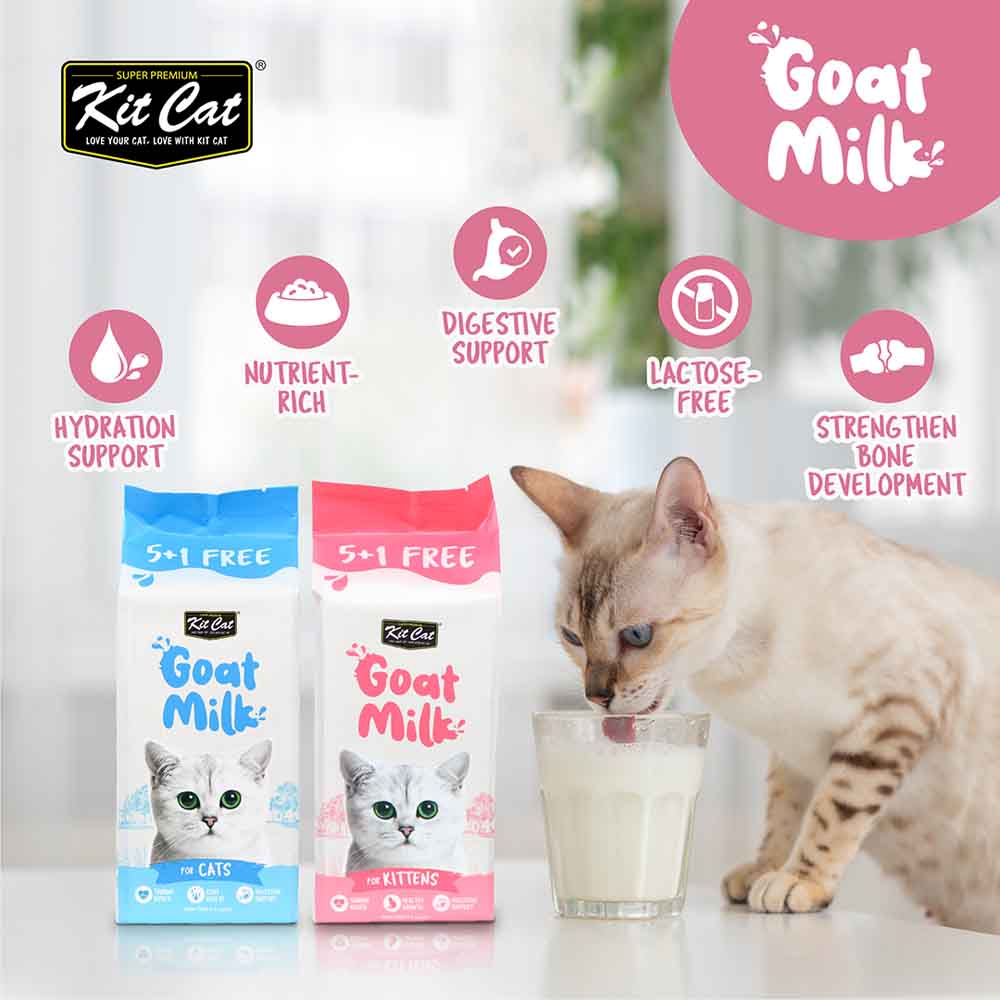 Cats Drink Lactose Free Milk Goat Milk Is Whole Milk Bad For