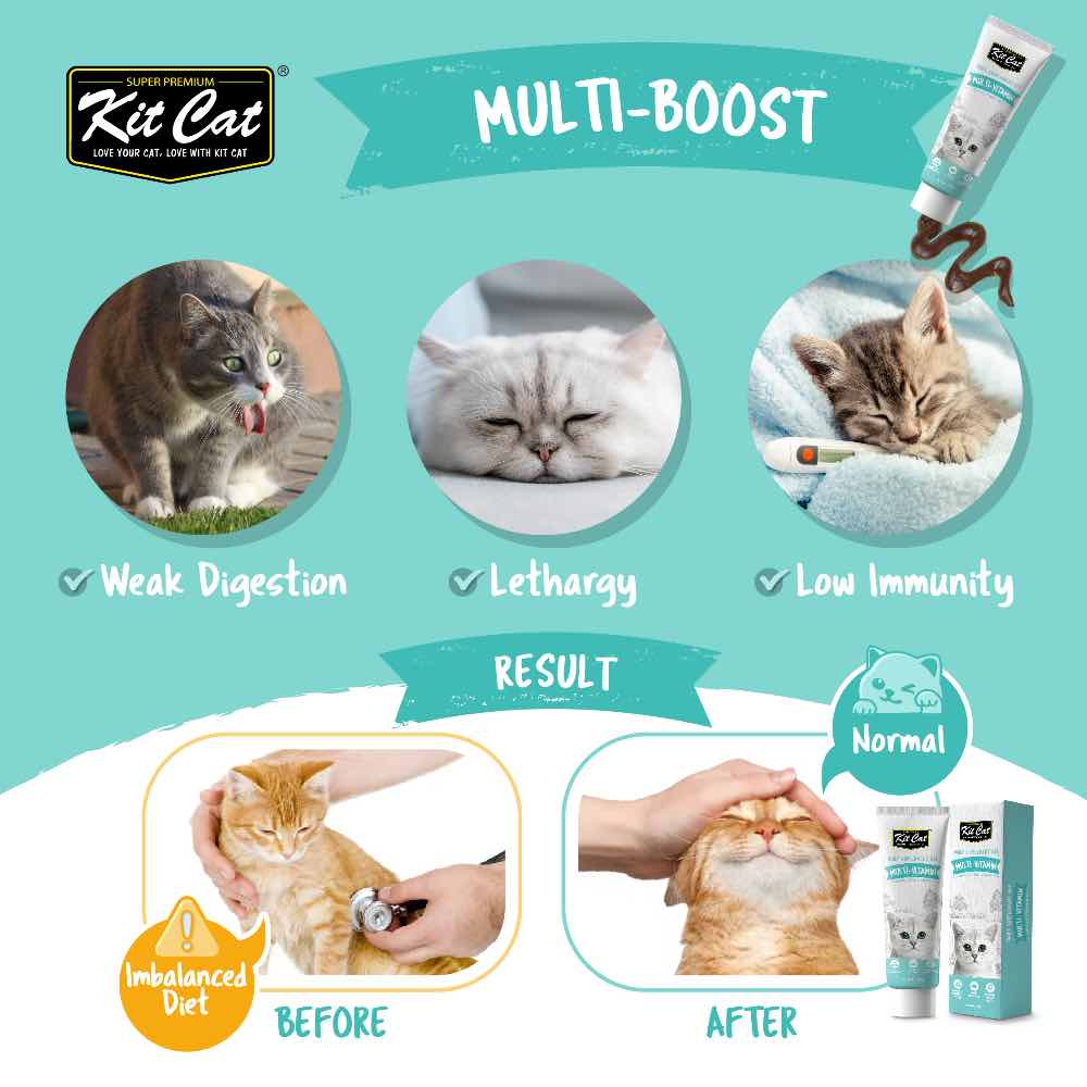 Kit Cat Multi-Vitamin Daily Nutritional Supplement Gel For Cats 120g