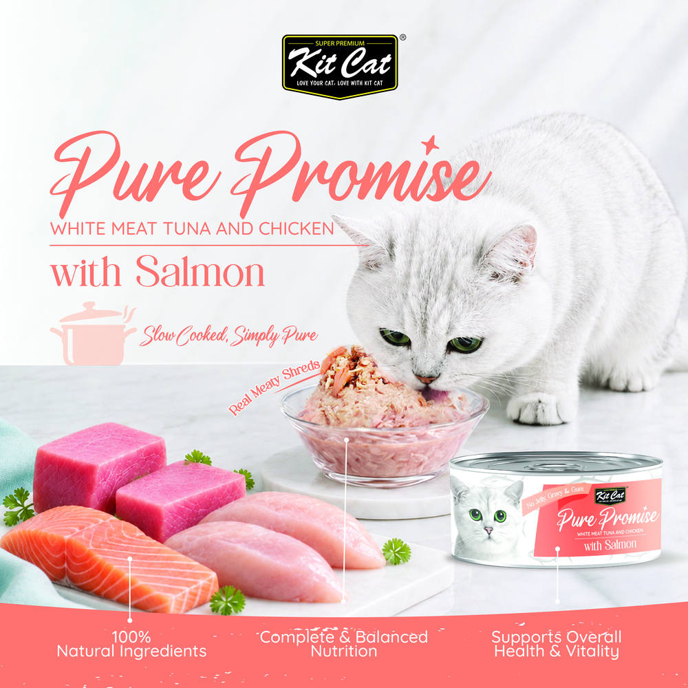 Kit Cat Pure Promise Tuna & Chicken With Salmon Natural Slow-Cooked Canned Cat Food 80g - Box of 12