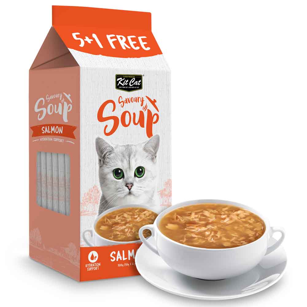 Kit Cat Savoury Soup Salmon Wet Pouch Cat Food (50g x 6)