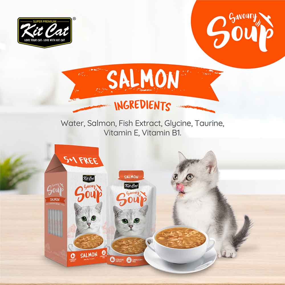 Kit Cat Savoury Soup Salmon Wet Pouch Cat Food (50g x 6)