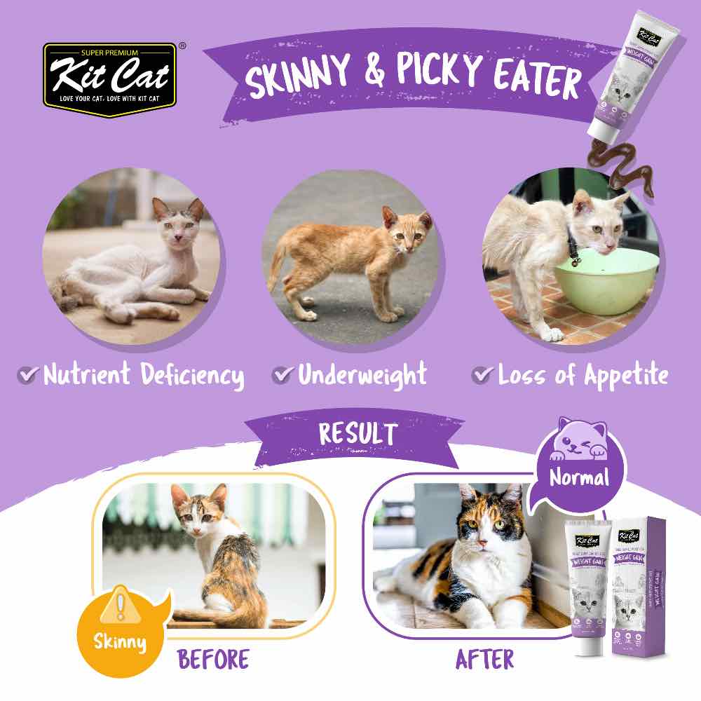 Kit Cat Weight Gain Daily Nutritional Supplement Gel For Cats 120g