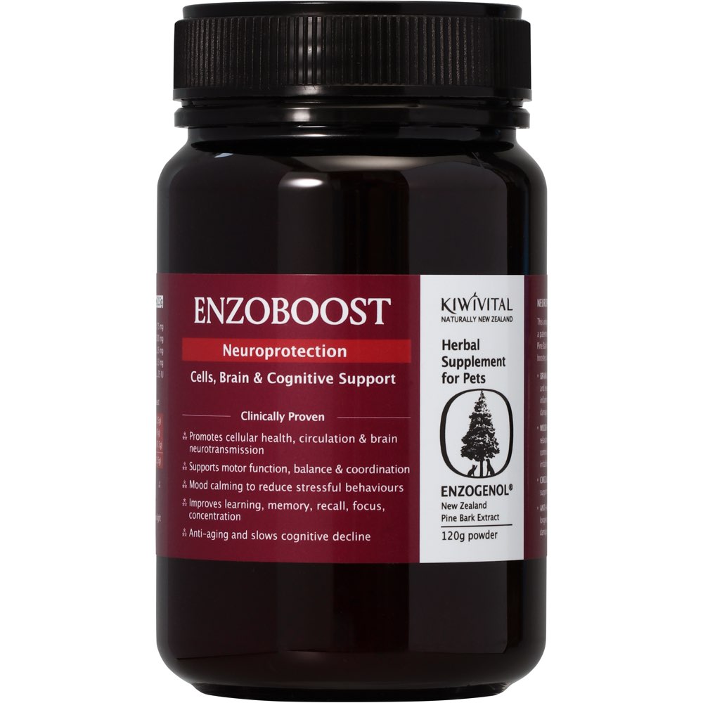 KiwiVital EnzoBoost Neuroprotection Enzogenol NZ Pine Bark Supplement ...