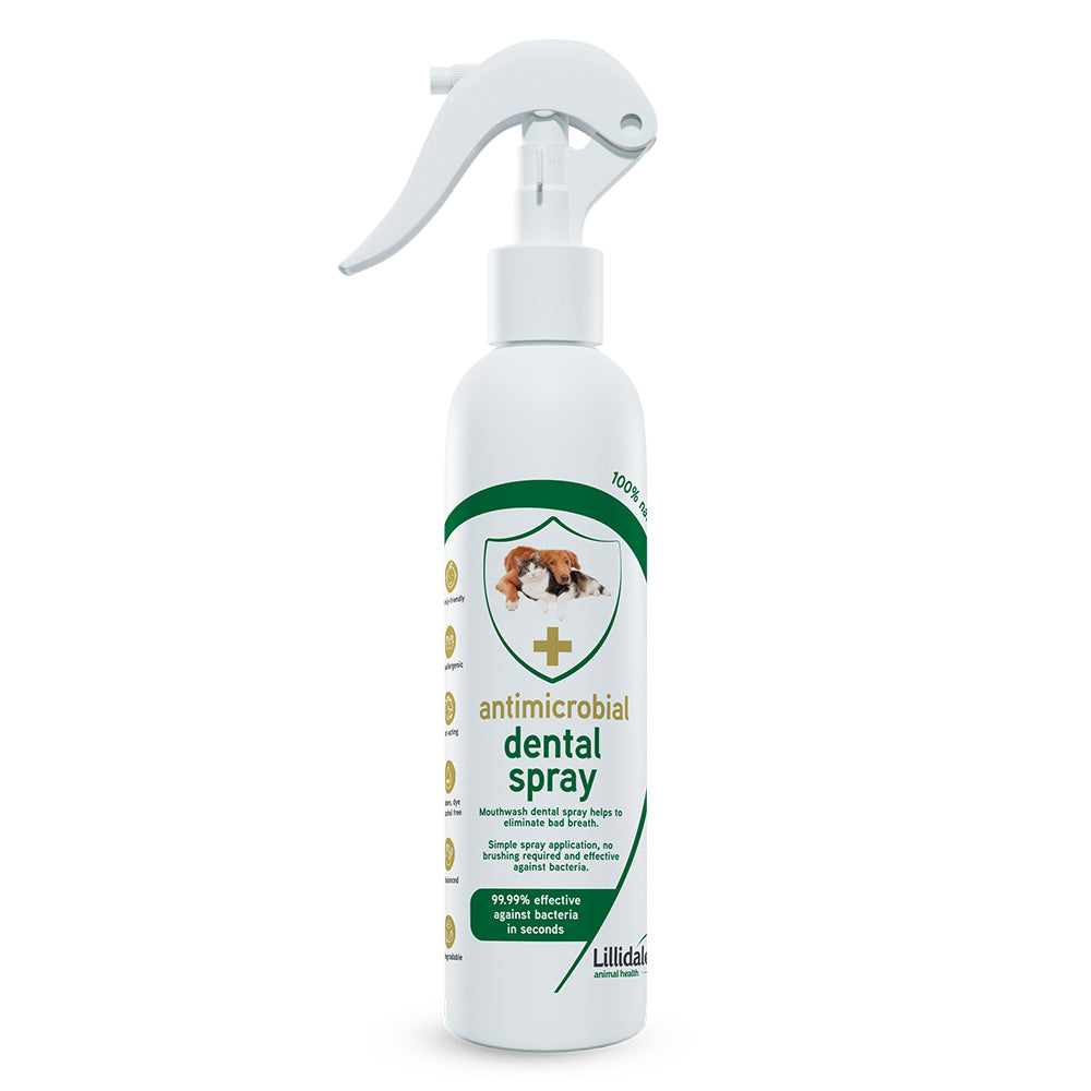 Lillidale Antimicrobial Dental Spray For Cats & Dogs 250ml - Kohepets