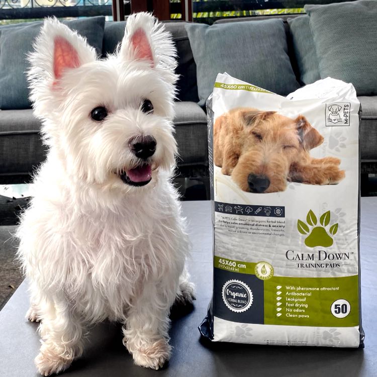 M-Pets Calm Down Dog Pee Pads — A Travel Essential For Nervous Pets