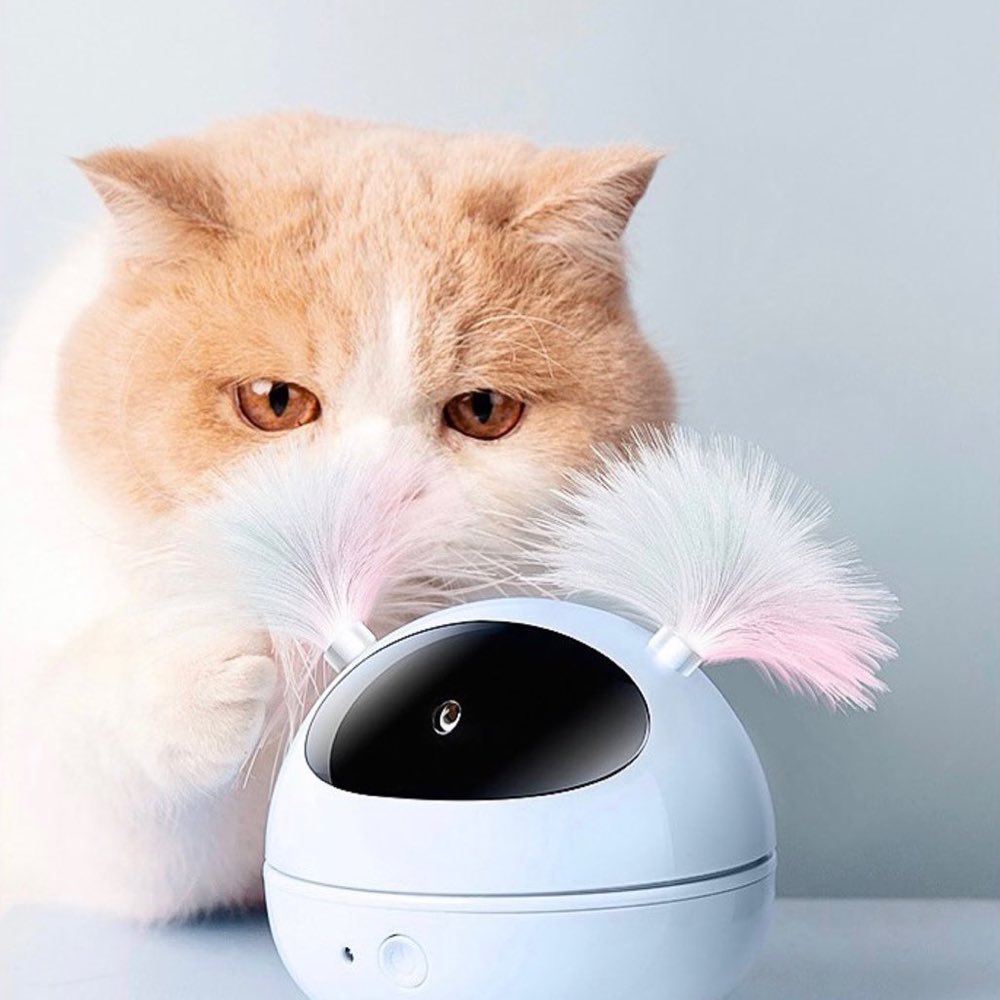 M-Pets Interactive Cat Toys — Hassle-Free, Battery-Powered Fun For Hours On End!