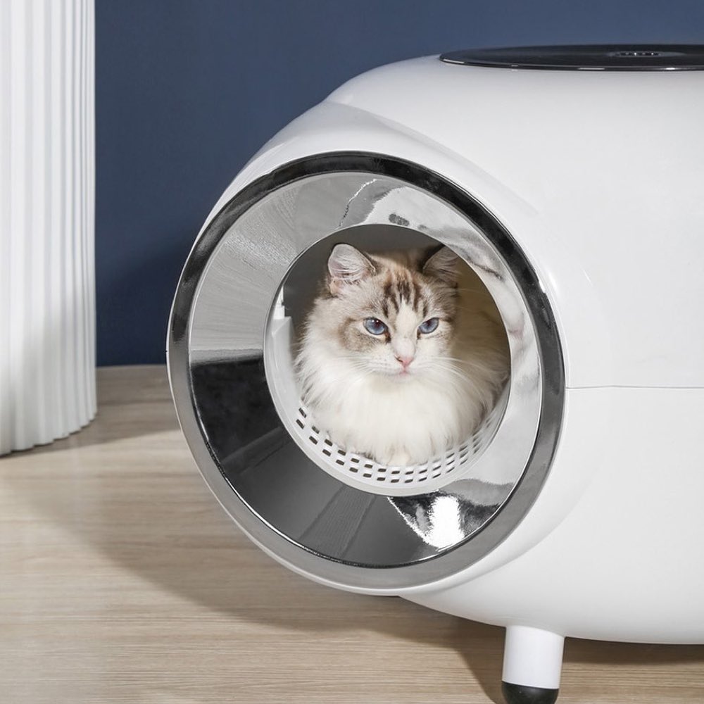 M-Pets Cat Litter Boxes & Accessories — Unique & Affordable Litter Accessories!
