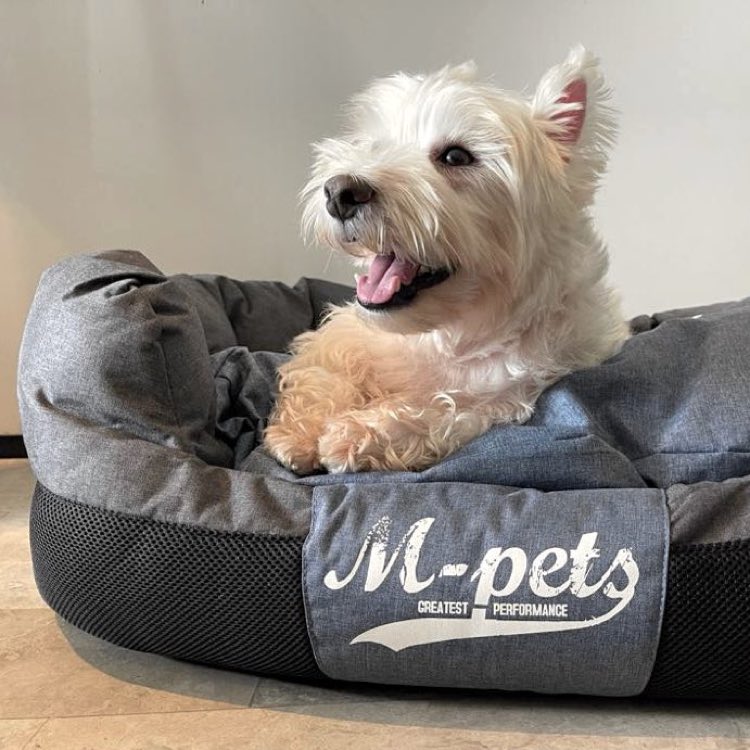 M-Pets Prague Basket Dog Beds — Effortless To Clean & Maintain!