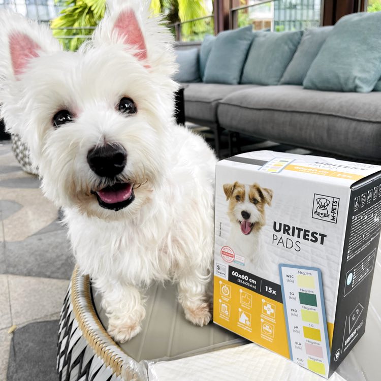 M-Pets Uritest Dog Pee Pads — Health Monitoring Made Easy