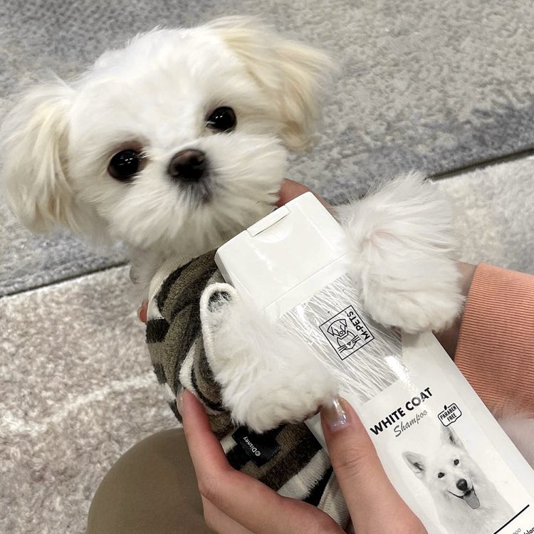 M-Pets Dog Shampoos — Paraben-Free Formulas for All Skin & Coat Needs