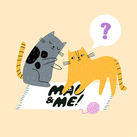 Mau&Me Frozen Cat Food — Trying Fresh/Raw Cat Food For The First Time?