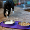 Messy Cats Double Silicone Feeder With Stainless Steel Cat Bowls (Grey)