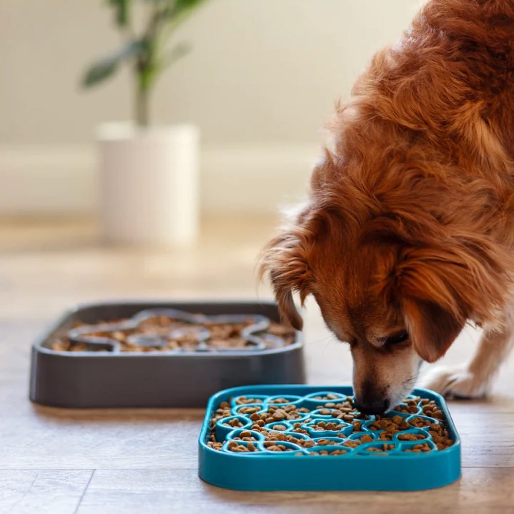 Messy Mutts & Cats Interactive Square Slow Feeder Bowl For Cats & Dogs