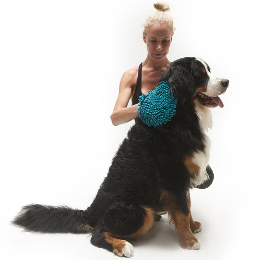 Messy Mutts Microfiber Dog Grooming Mitt Kohepets