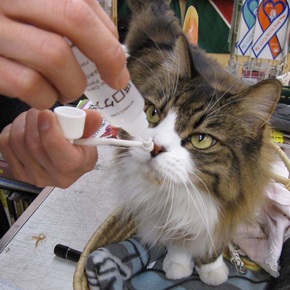 10% OFF: Mind Up Nyanko Care Toothbrushing Liquid For Cats 30ml