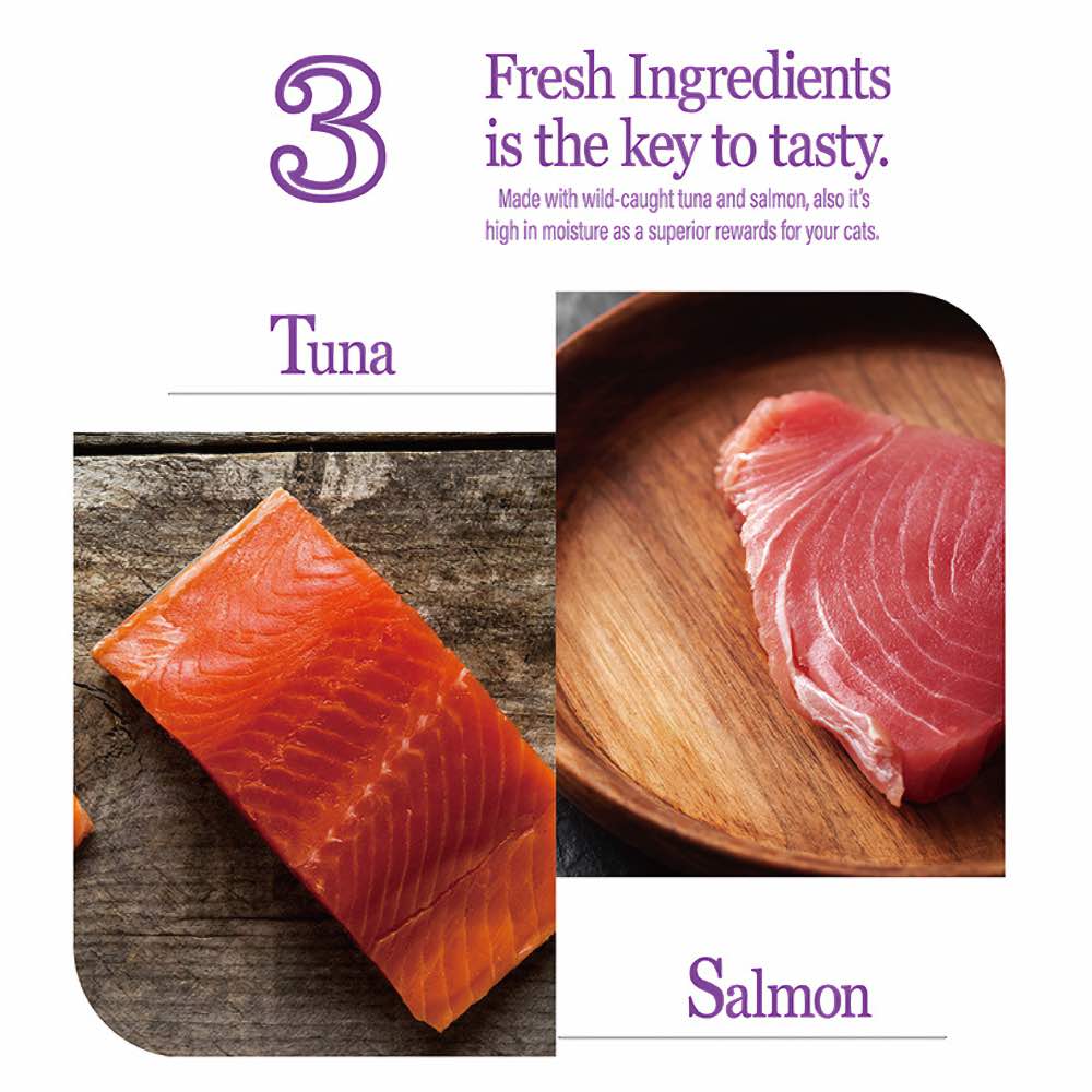 Natural Kitty Functional Skin & Coat Care Salmon Purée Creamy Liquid Cat Treats 48g